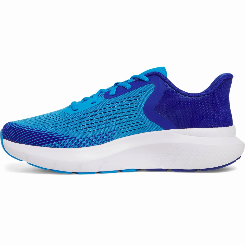 Running Shoes Jd 'Under Armour' Men's Rogue 5 Running - Electric Blue / Royal