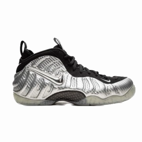 Nike Air Foamposite Pro Silver Surfer Metallic Silver Asics 2160 Running Shoes