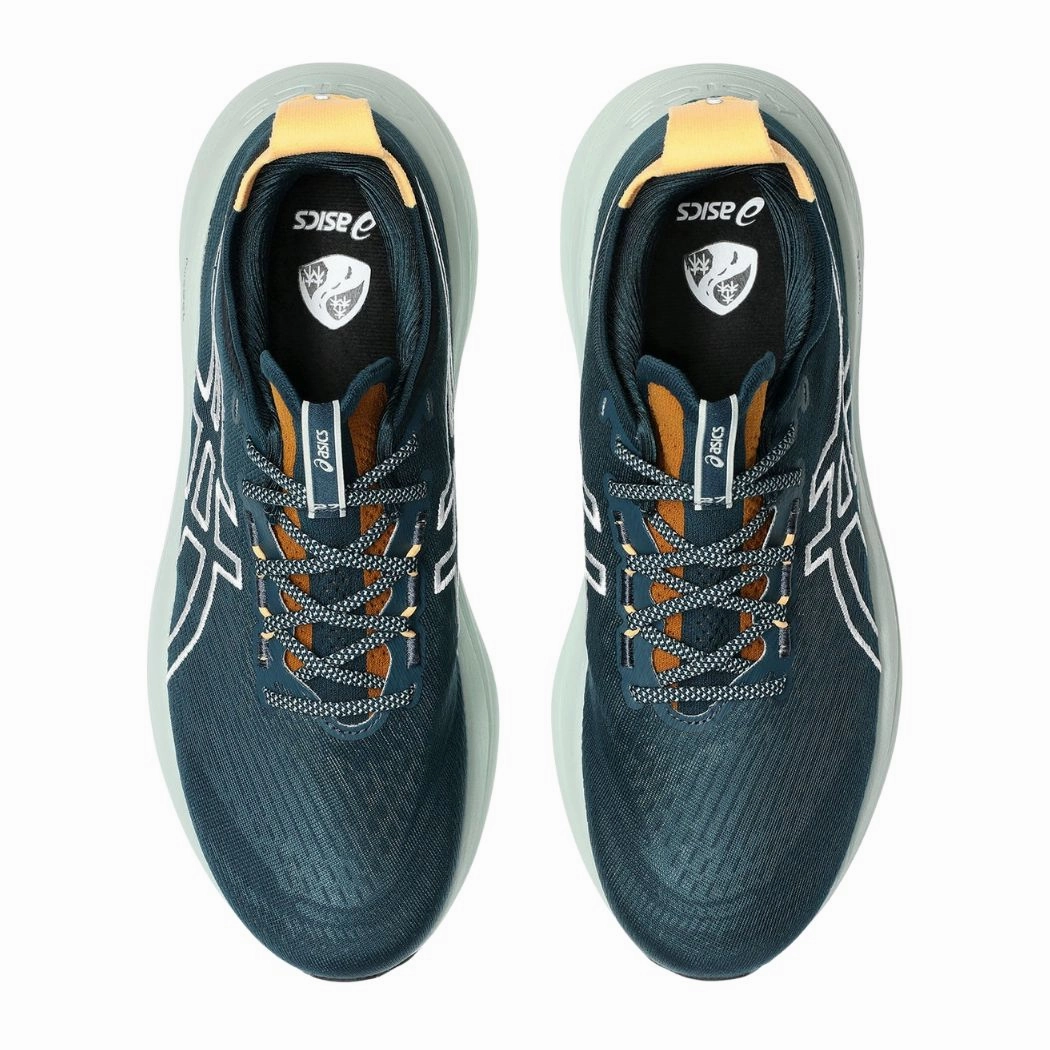 Saucony Asics Running Shoe asics Gel-Nimbus 27 TR Men's Trail Running Shoes