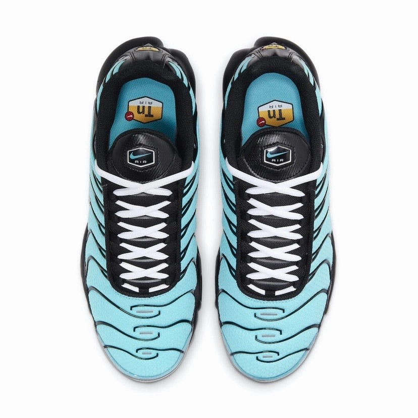 Asics Shoes For Knee Pain Nike Air Max Plus Tiffany Aqua Metallic Silver Black