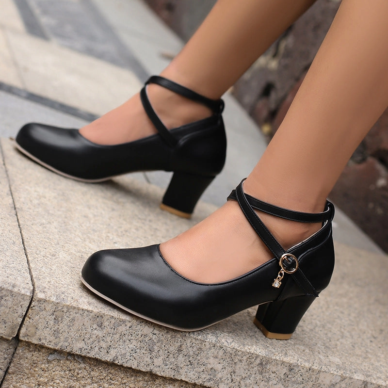 Nisa Casual Women Dress Shoes Closed Toe Mary Jane Block Heels Casual Shoes Wiki