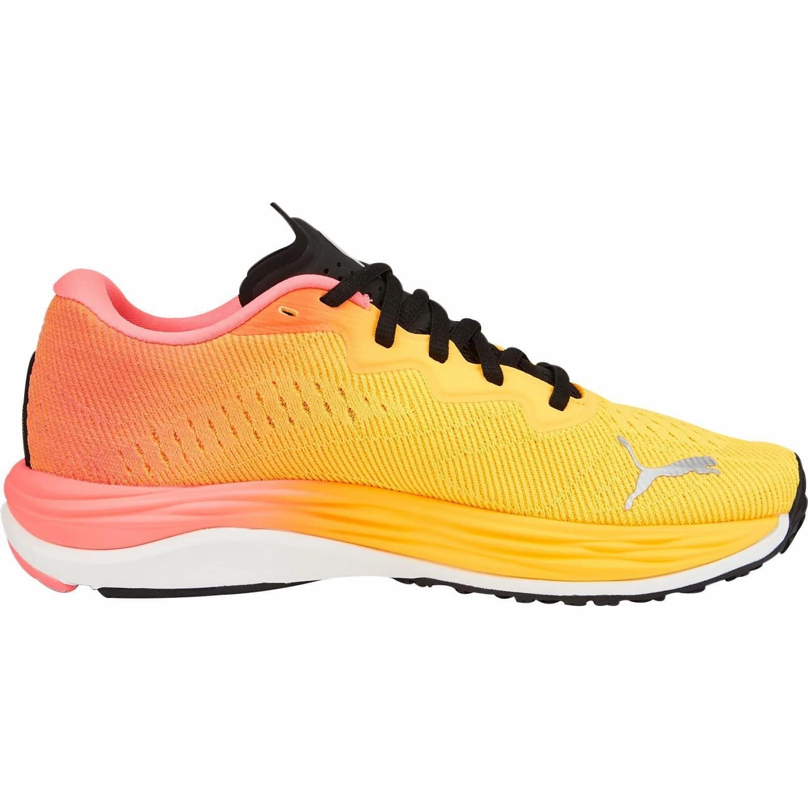 Puma Tazon 6 Fm Shoes Puma Velocity Nitro 2 Womens Running Shoes - Orange