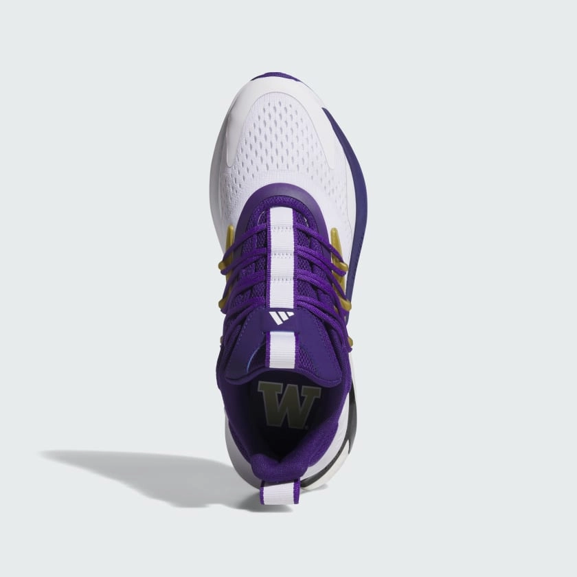 Men's adidas Washington Alphaboost V2 Shoes Stella Adidas Shoes