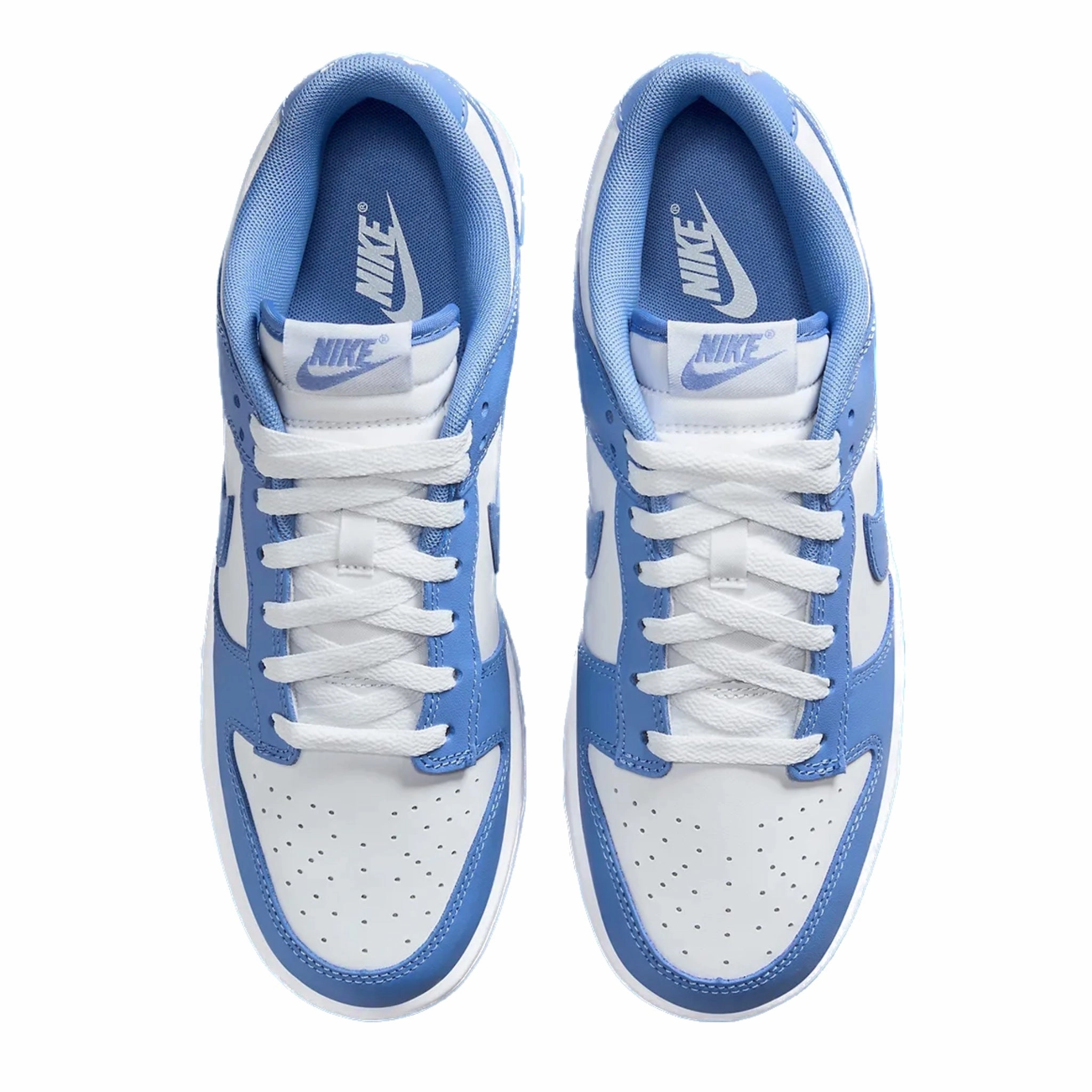 ASICS Shoe Guide Nike Dunk Low Polar Blue White